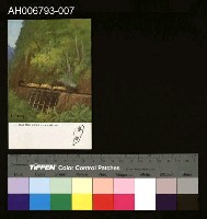 藏品(台灣風景阿里山運材線明信片)的圖片